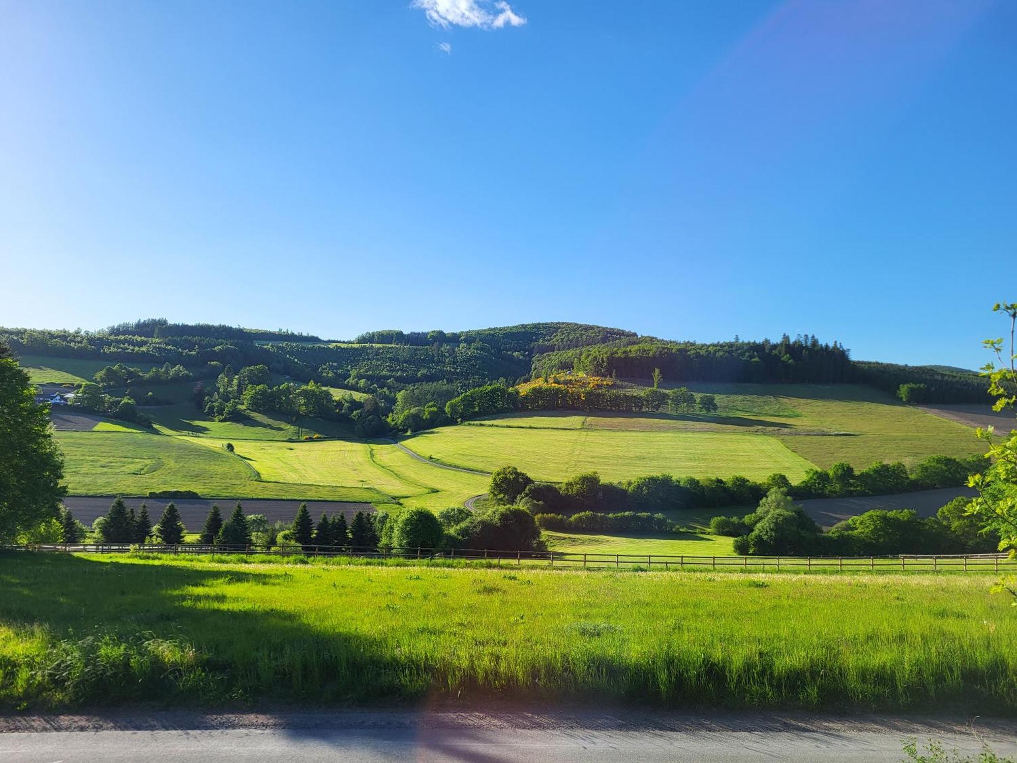 Appartamento Lausebuche Im Sauerland Lennestadt Esterno foto